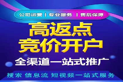 揭秘百度竞价广告收费模式——以某行业为例